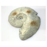 Vintage 1987  Hayer Parker Nautilis sculpture