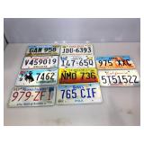 10 assorted metal vehicle license plates.
