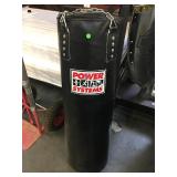 Power system punching bag