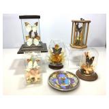Domed display cases with butterfly and flora.