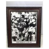 Pittsburgh Steelers autographed picture