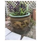 Oriental Dragon Pot w/ Plants