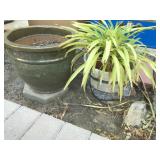 Outdoor Pots with Plants Included Outdoor Pots with Plants Included