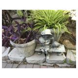 White Etched Pots with Plants & More White Etched Pots with Plants & More