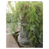 Terracotta Pot with Stand & Plant Terracotta Pot with Stand & Plant