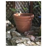 Large Terracotta Pot Large Terracotta Pot