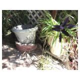 White Outdoor Pots with Plants