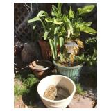 Group of Outdoor Pots with Plants Group of Outdoor Pots with Plants