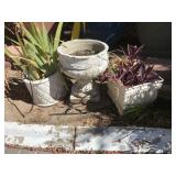 Three White Outdoor Planters