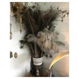 Umbrella Stands with Peacock Feathers Umbrella Stands with Peacock Feathers