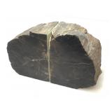 Pair of Petrified Wood Bookends