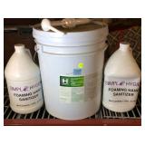 Disinfectant spray and foaming hand sanitizer.