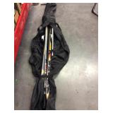 Sports Graphics bag with skis and poles.