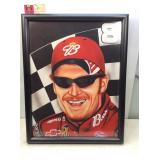 Dale Earnhardt jr picture