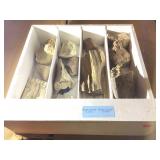 Petrified wood and more