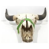 Buffalo Skull W/ Horns
