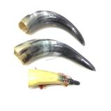 Powder horn and horns.