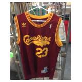 Cleveland cavaliers large lebum james