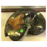 Ammonite fossil, approx 16 inches diameter