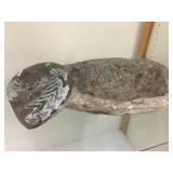 Ammonite center piece, approx 22 inches long