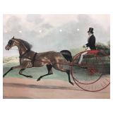 Hand Colored Re-strike engraving. Lord William