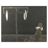 Sterling Dolphin ring and hoop earrings