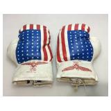 Pair of flag Rex 16 oz boxing gloves.