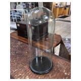 Glass dome display, approx 8x18 inches, local