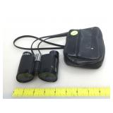 Vintage Nikon binoculars in case.