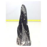 Orthoceras Fossil Cluster Tower 9in