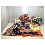 Large Chicago bears lot