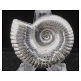 2 oz Silver 999 pure Silver