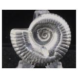 2 oz Silver 999 pure Silver