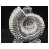 2 oz Silver 999 pure Silver