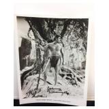 Signed Johnny Weissmuller Tarzan 8x10 Photo. From
