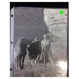 Signed Virginia Mayo 8x10 Magazine Photo. From