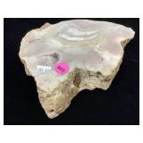 Polished display stone slice specimen with