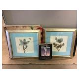Erotic photography book and assorted wall decor.