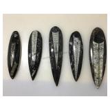 Orthoceras stone paperweights.