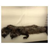 Pair of Vintage Silver Fox Pelts approx 37 inches
