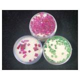 2 ramekins of rubies & 1 ramekin of green