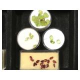 4- ramekins of gemstones, 1- ruby, 3- green