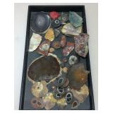 Assorted polished stones and fossil specimens