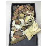 Assorted shells and stone specimens