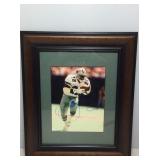 Emmitt smith autographed picture