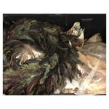 Assorted Animal Bones and Feathers for Crafting -