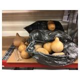 Large Collection of Gourds and Dog Chew Bones
