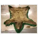 Bear Taxidermy Mounted on Felt - Claws intact Bear Taxidermy Mounted on Felt - Claws intact