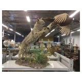 Action posed Taxidermy. Lynx, pheasant 34x52. Action posed Taxidermy. Lynx, pheasant 34x52.