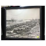 Vintage B/W photo of an Auto junkyard. 16 x 20